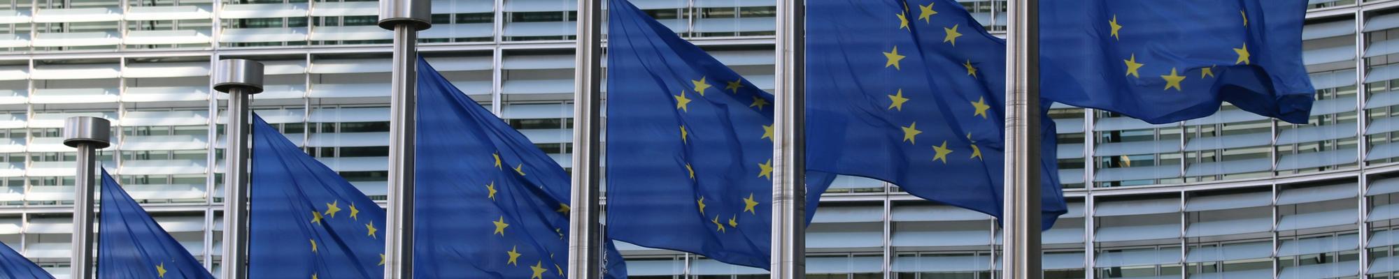 EU flags