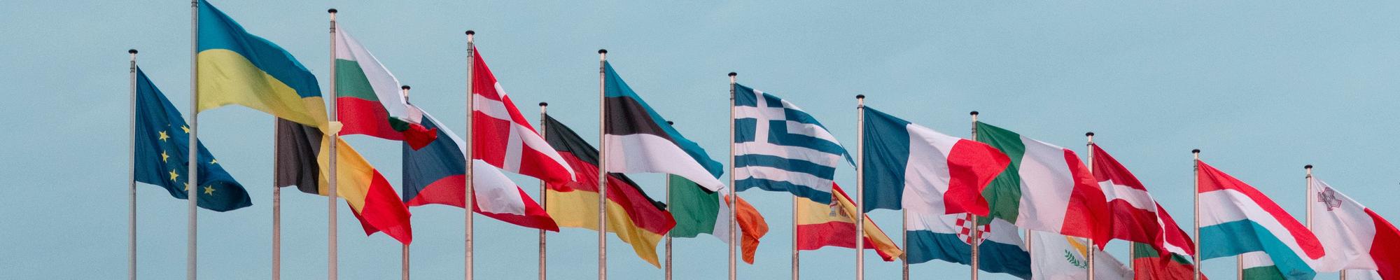 european union flags